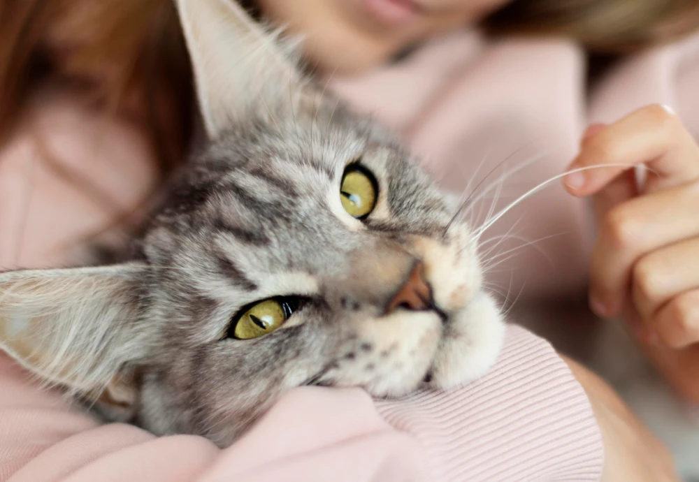 best interactive pet camera